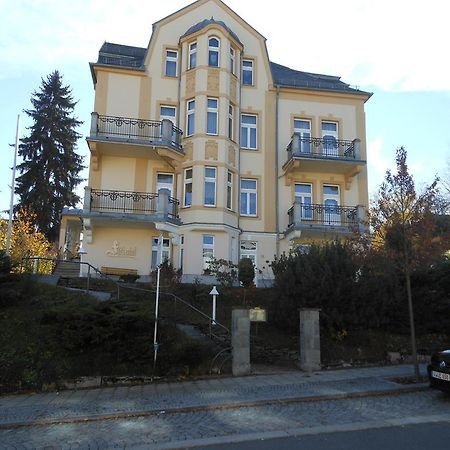 Pension Fuerstenhof Bad Elster Zewnętrze zdjęcie